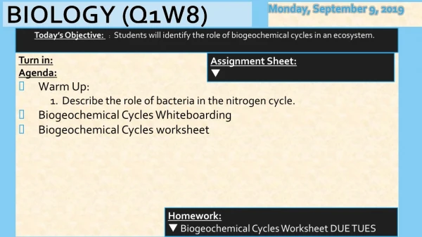 Turn in: Agenda : Warm Up:  Describe the role of bacteria in the nitrogen cycle.