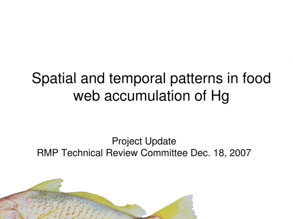 Spatial and temporal patterns in food web accumulation of Hg