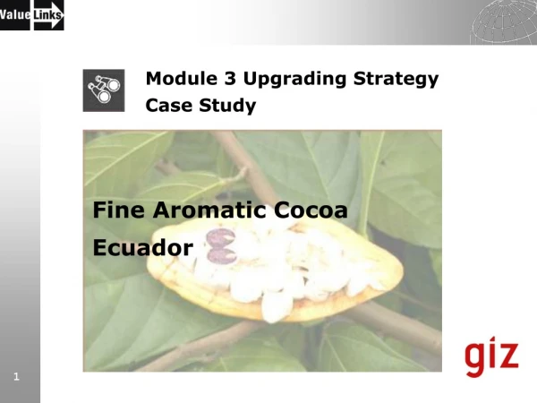 Fine Aromatic Cocoa Ecuador