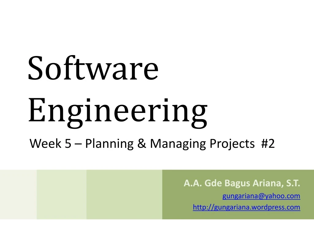 software engineering