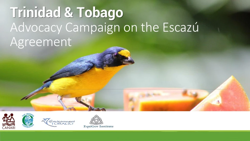 trinidad tobago advocacy campaign on the escaz agreement