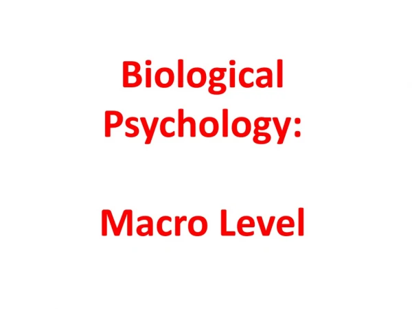 Biological Psychology: Macro Level