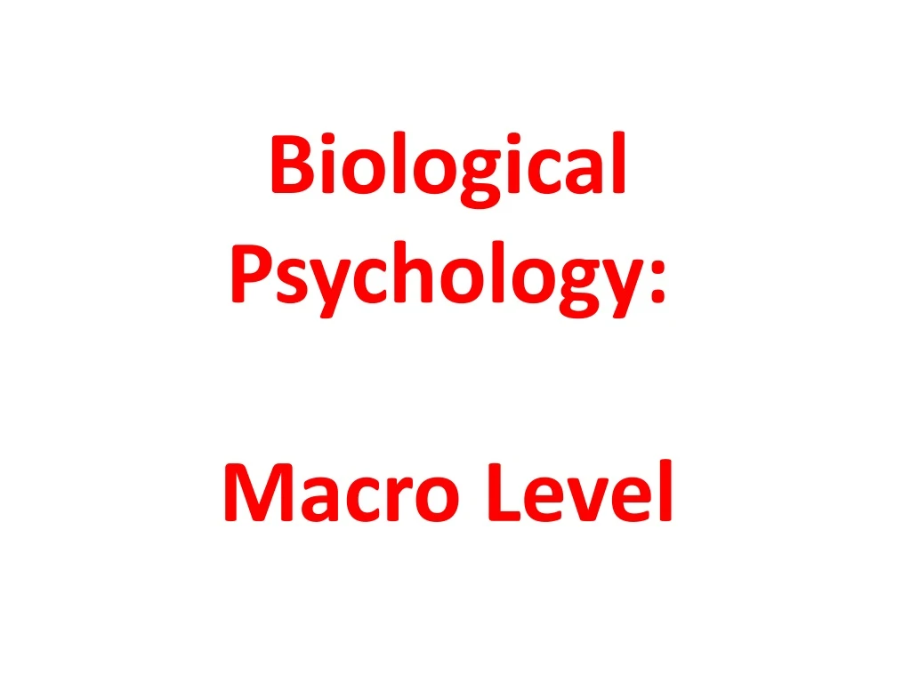 biological psychology macro level
