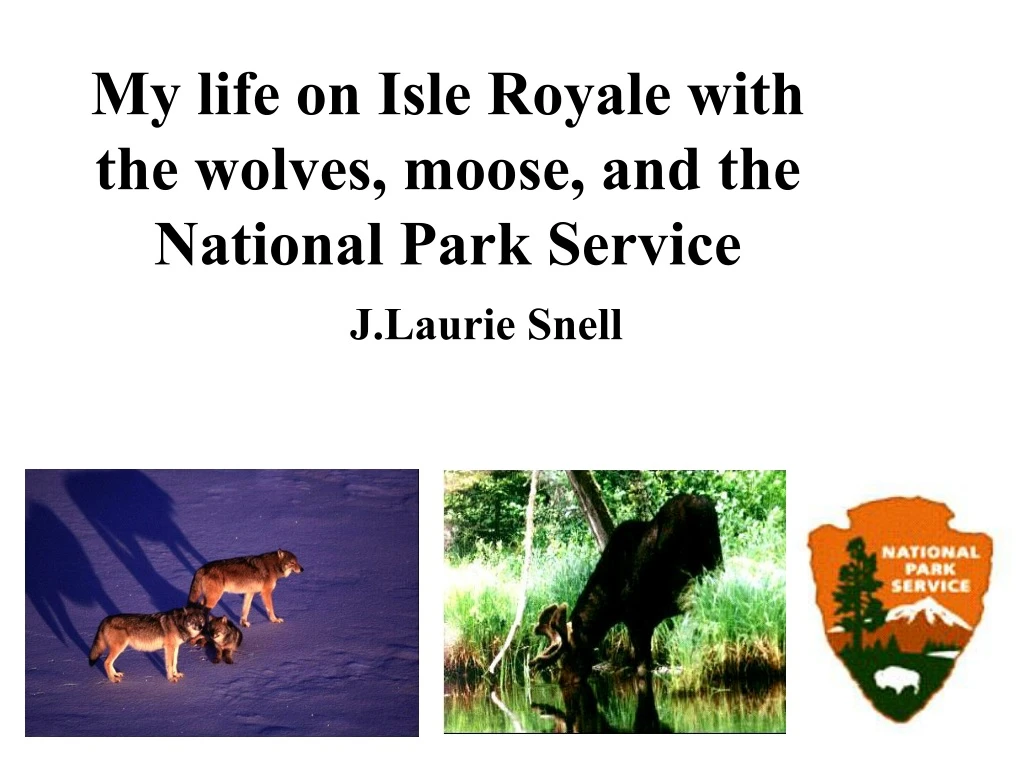 my life on isle royale with the wolves moose and the national park service