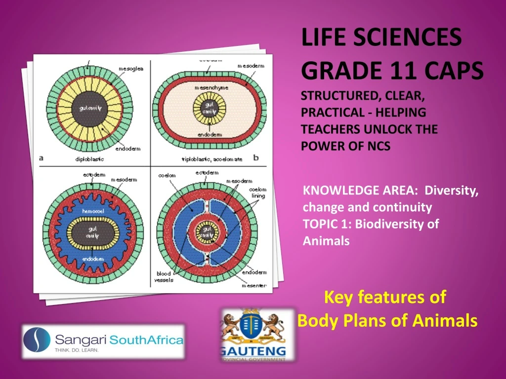life sciences grade 11 caps structured clear practical helping teachers unlock the power of ncs