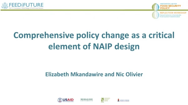 Comprehensive policy change as a critical element of NAIP design