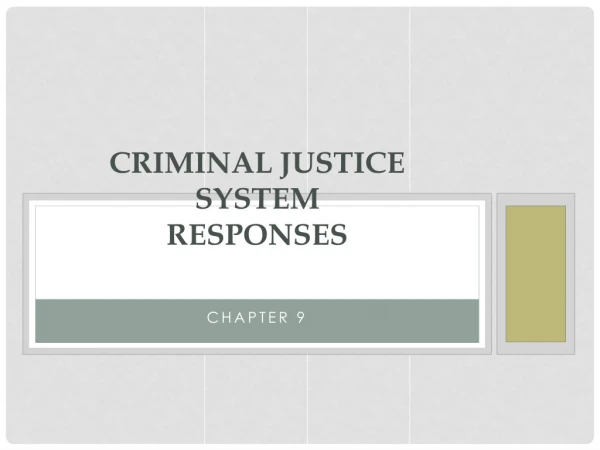 Criminal Justice System Responses