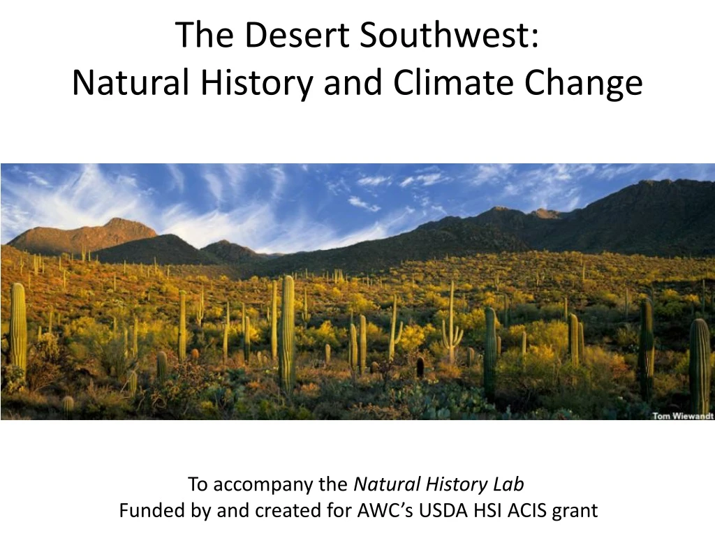 the desert southwest natural history and climate