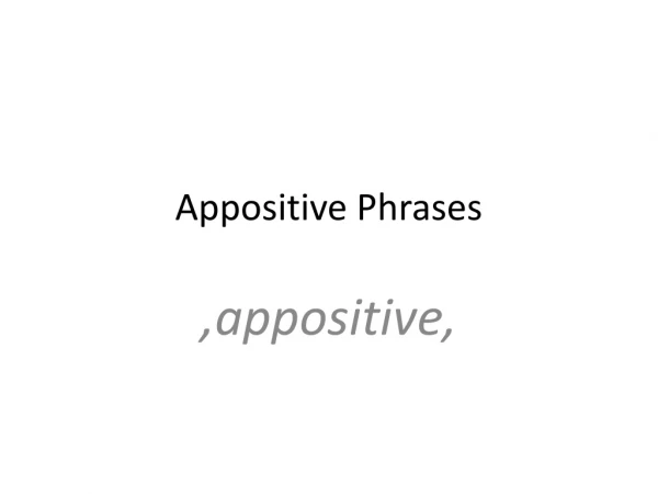 Appositive Phrases