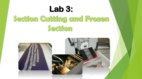 Lab 3: Section Cutting and Frozen Section