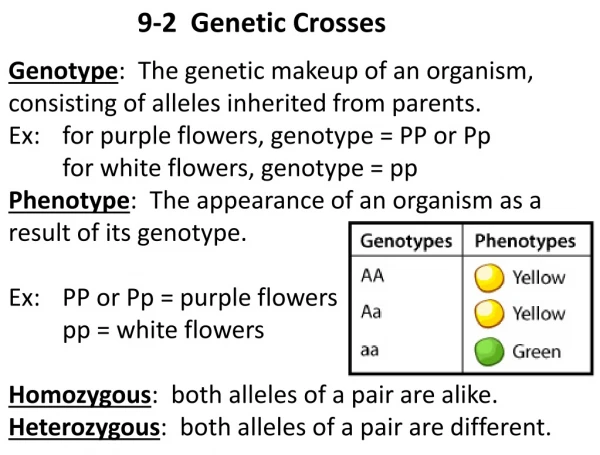 9-2 Genetic Crosses
