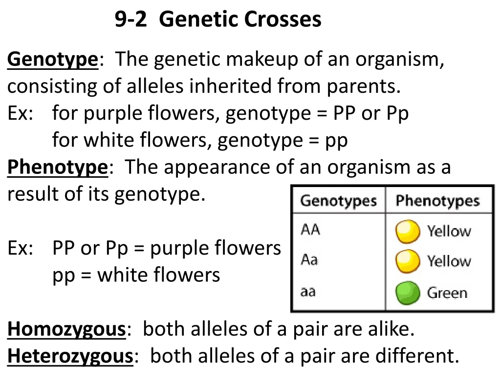 9 2 genetic crosses