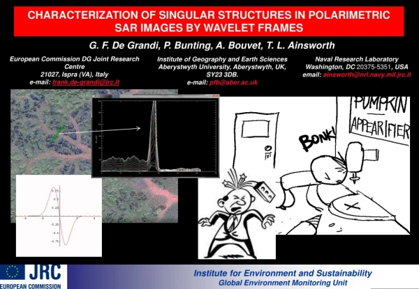 CHARACTERIZATION OF SINGULAR STRUCTURES IN POLARIMETRIC SAR IMAGES BY WAVELET FRAMES