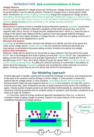 INTRODUCTION Bob recommendations in Green Voltage Sensors - slide 1