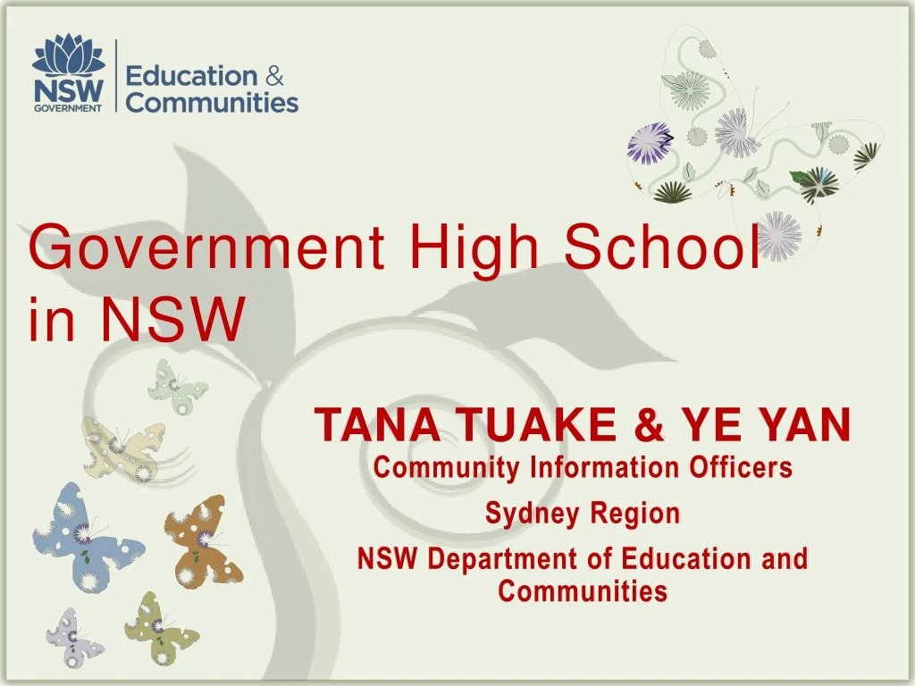 government high school in nsw