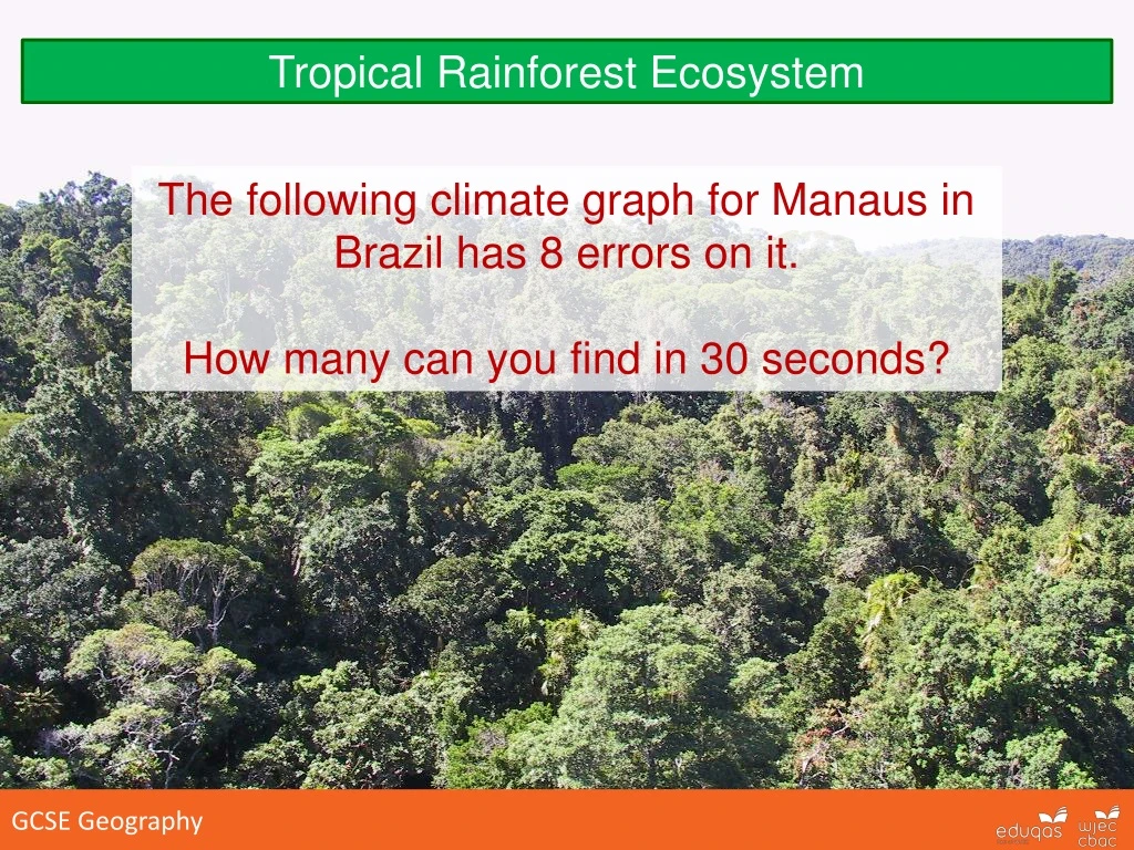 tropical rainforest ecosystem