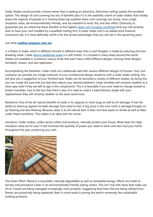 20 Things You Should Know About cedar roof company des plaines