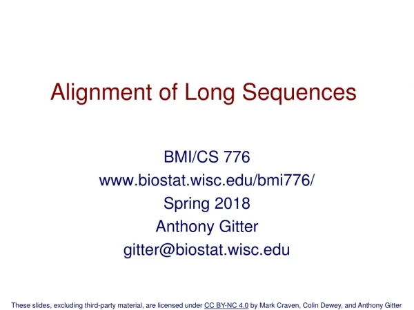 Alignment of Long Sequences