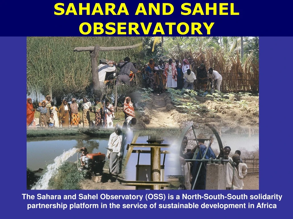 sahara and sahel observatory