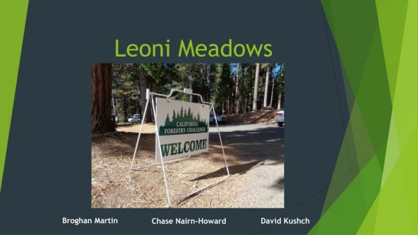 Leoni Meadows