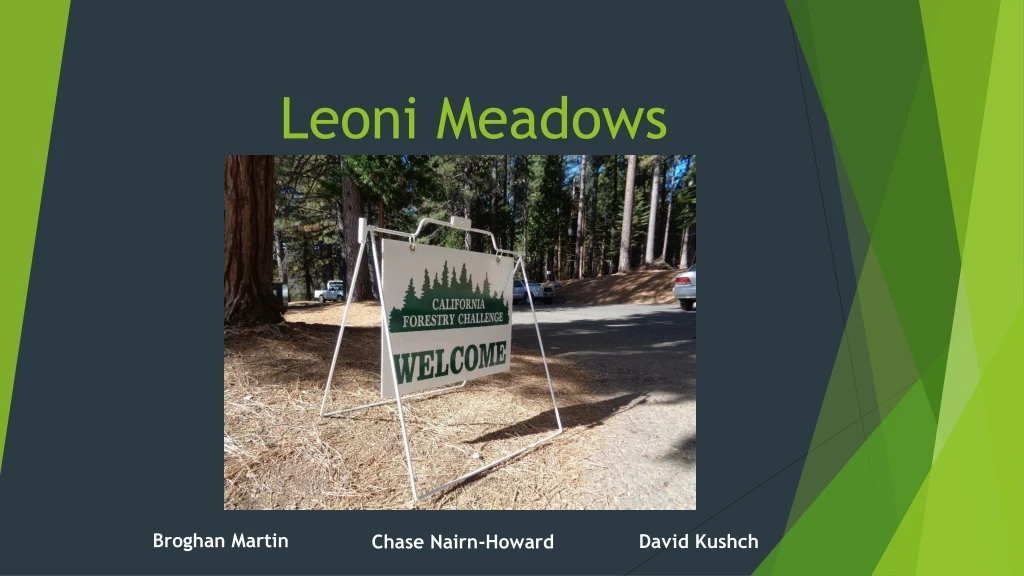 leoni meadows