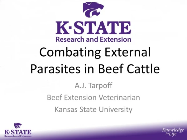 Combating External Parasites in Beef Cattle