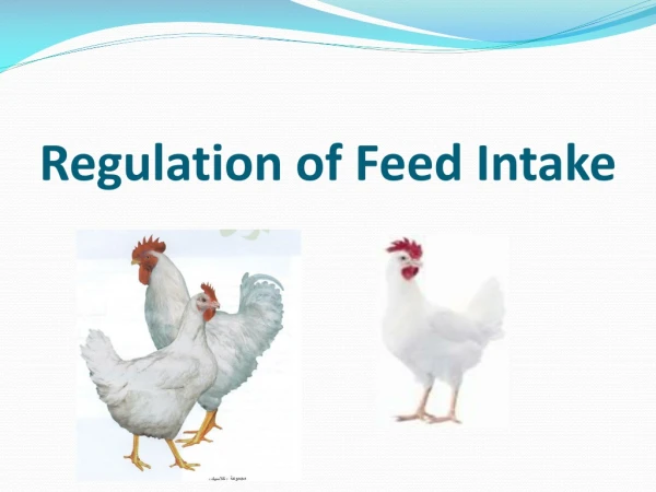 Regulation of Feed Intake