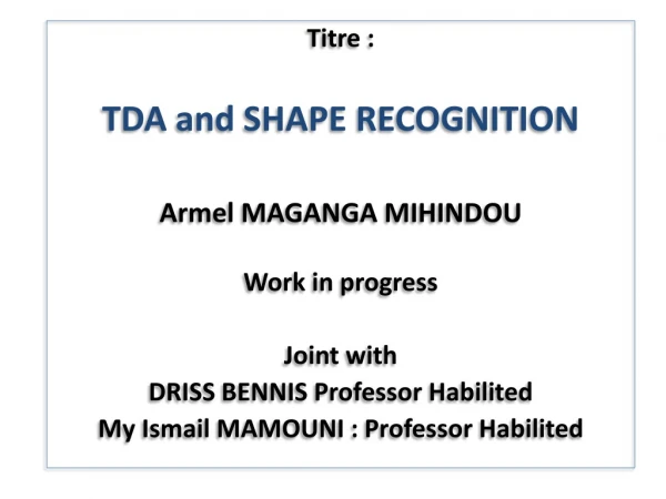 Titre : TDA and SHAPE RECOGNITION Armel MAGANGA MIHINDOU Work in progress Joint with