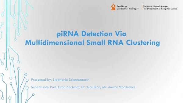 piRNA Detection Via Multidimensional Small RNA Clustering