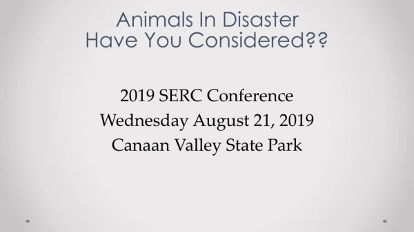Animals In Disaster Have You Considered??