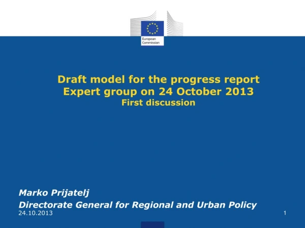 D raft model for the progress report Expert group on 24 October 2013 First discussion