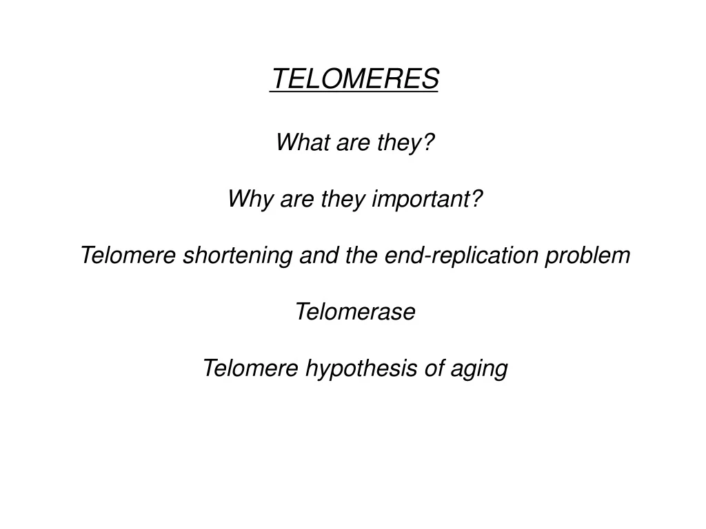 telomeres what are they why are they important