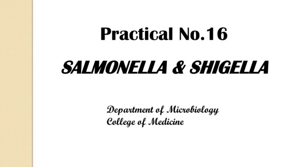 Practical No.16 SALMONELLA &amp; SHIGELLA