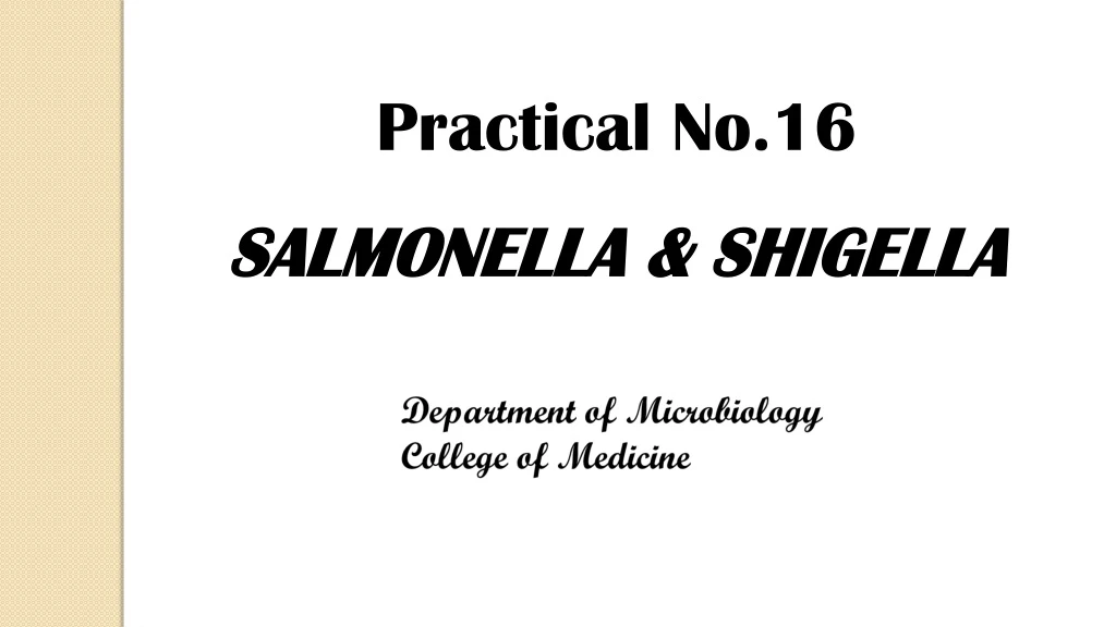 practical no 16 salmonella shigella