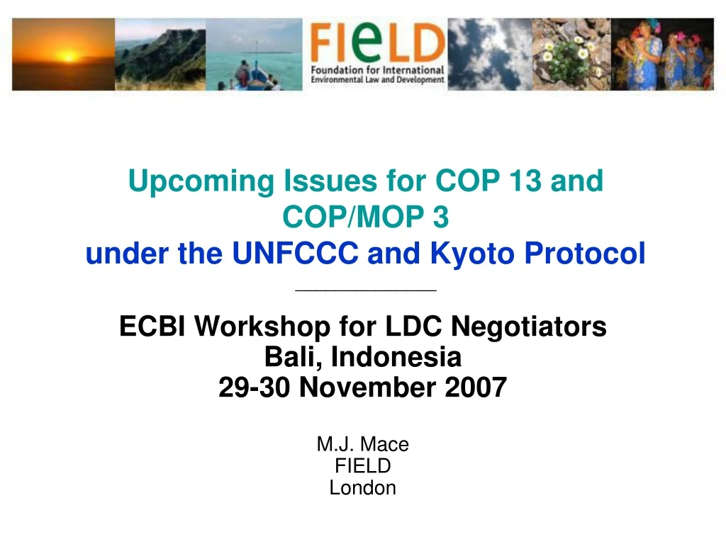 upcoming issues for cop 13 and cop mop 3 under the unfccc and kyoto protocol