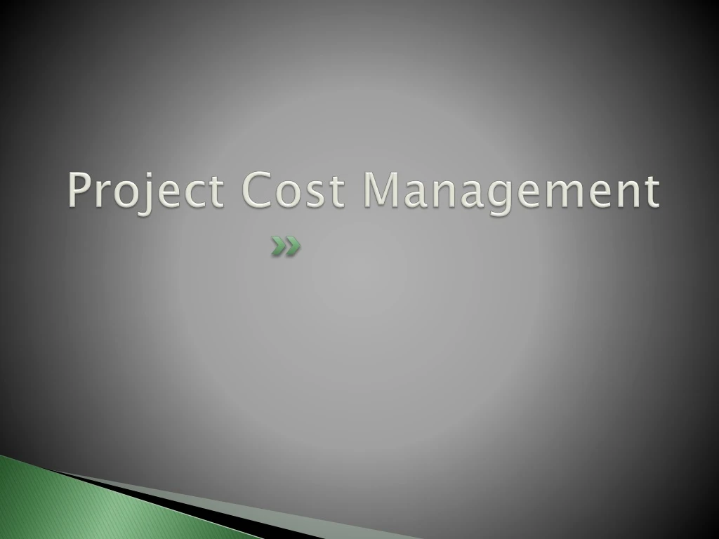 project cost management