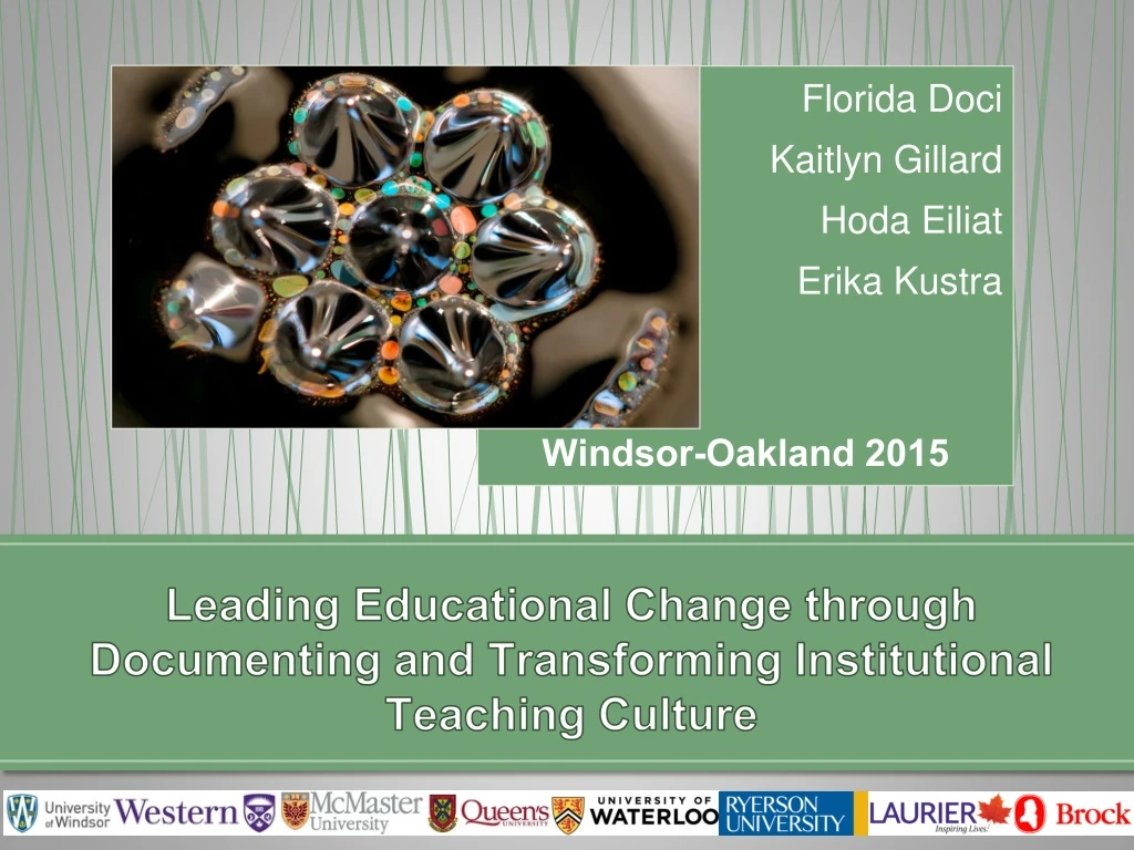 leading educational change through documenting and transforming institutional teaching culture