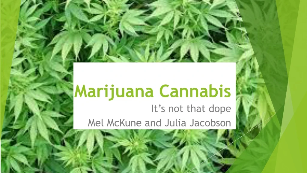 marijuana cannabis