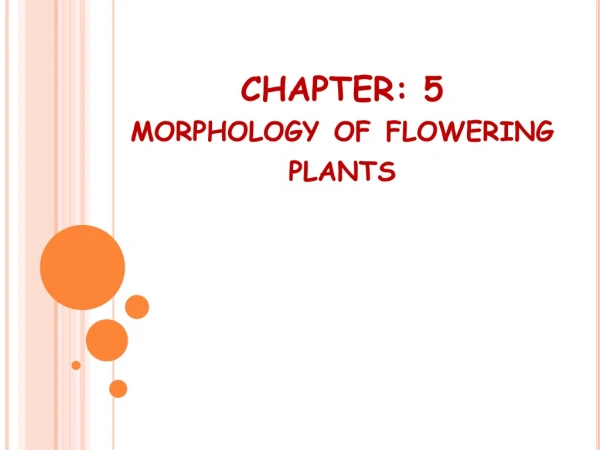 CHAPTER: 5 morphology of flowering plants