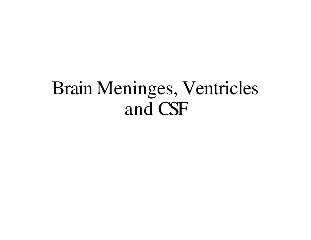 brain meninges ventricles and csf