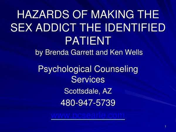 HAZARDS OF MAKING THE SEX ADDICT THE IDENTIFIED PATIENT by Brenda Garrett and Ken Wells