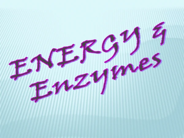 ENERGY &amp; Enzymes