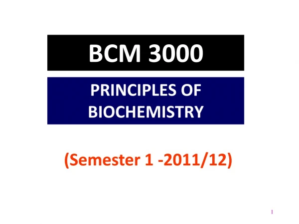 BCM 3000