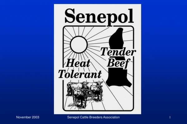History of the Senepol Breed