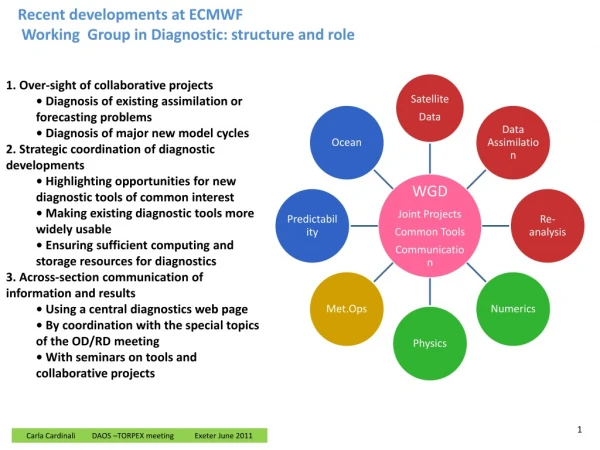 Recent developments at ECMWF Working Group in Diagnostic: structure and role