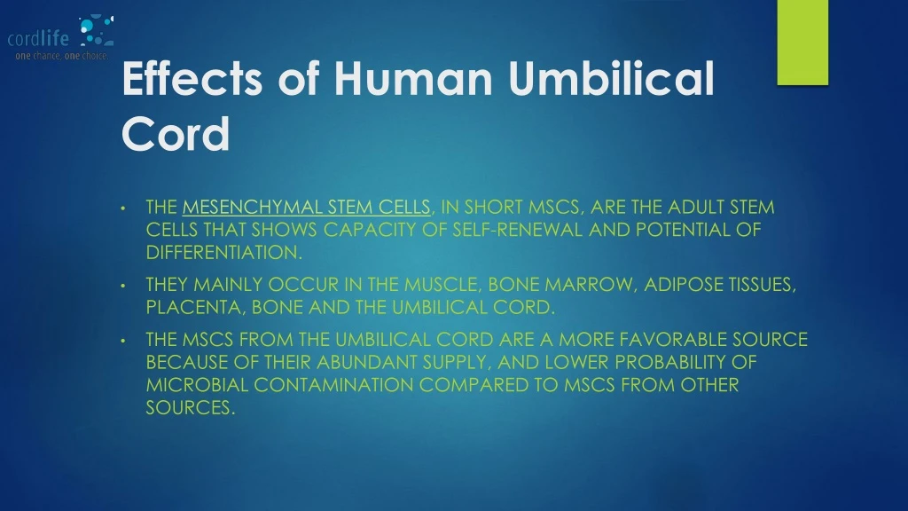 effects of human umbilical cord