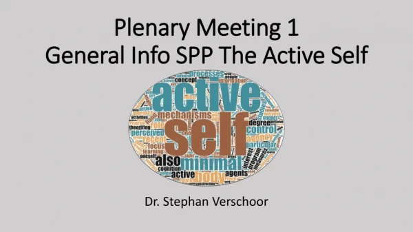 Plenary Meeting 1 General Info SPP The Active Self