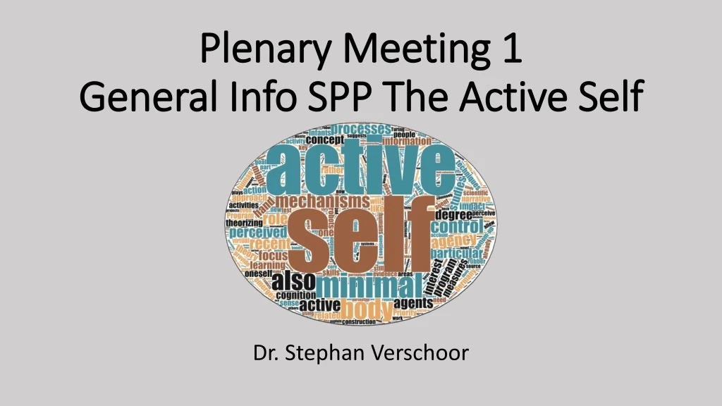 plenary meeting 1 general info spp the active self