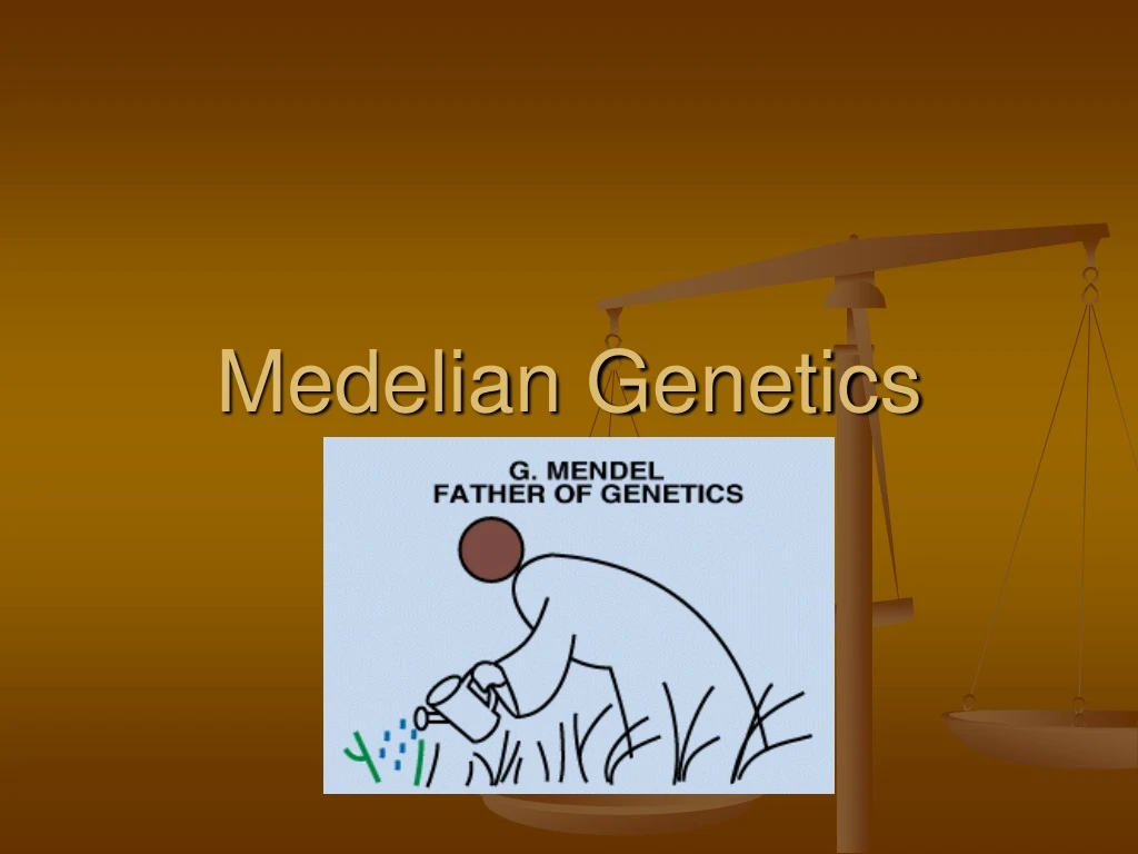 medelian genetics