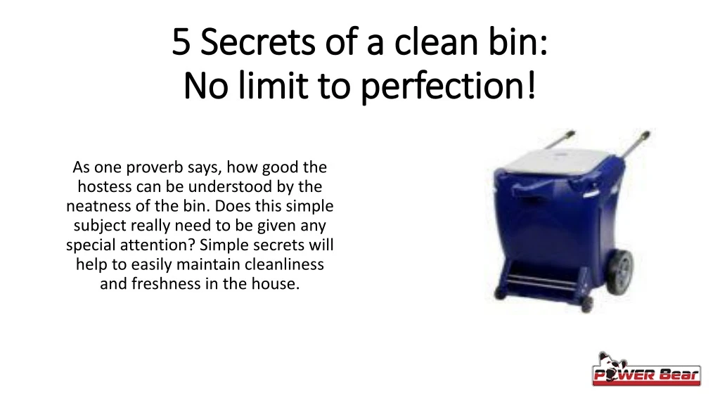 5 secrets of a clean bin no limit to perfection